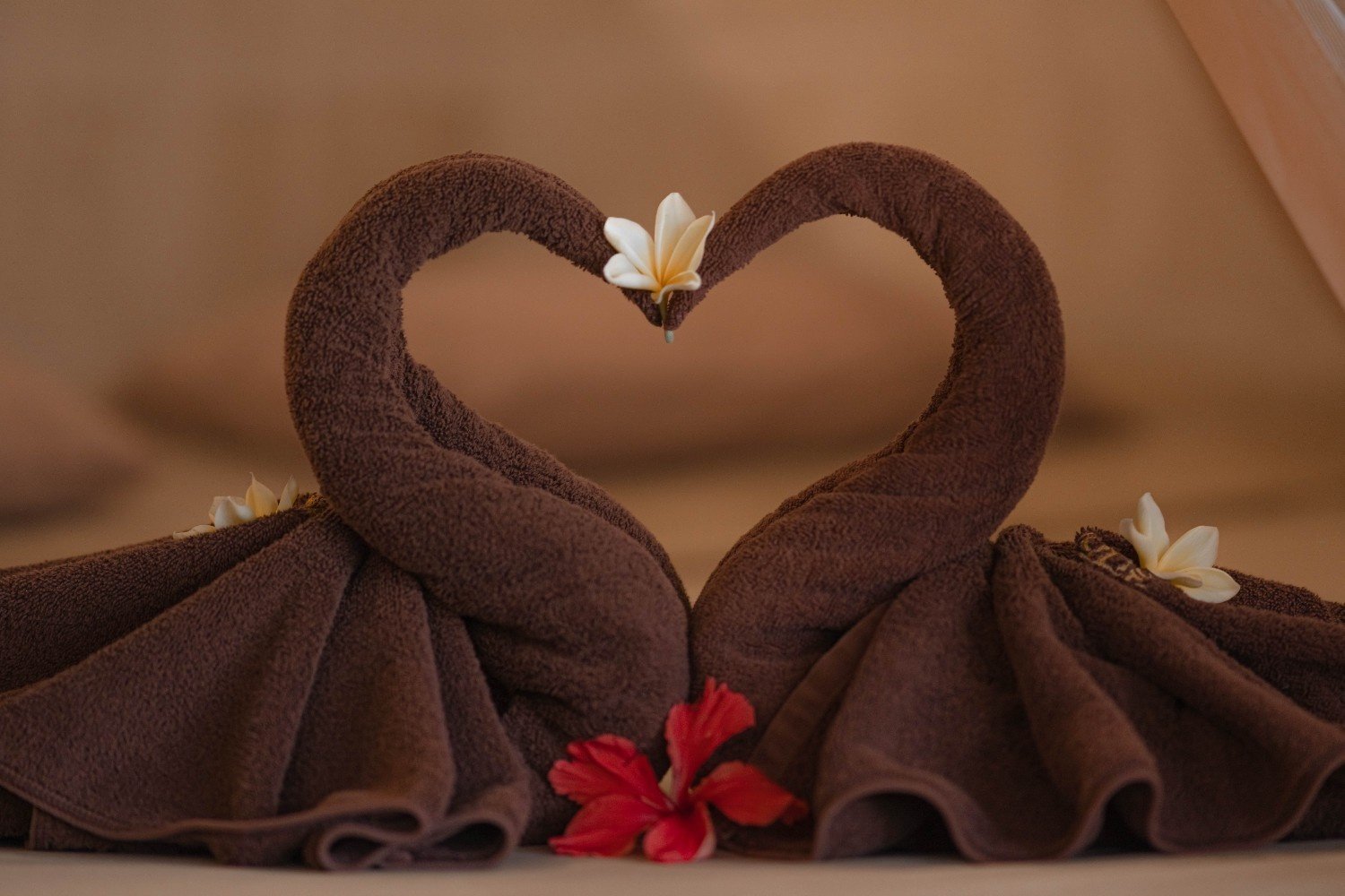 Family & Friend Room Gallery 5